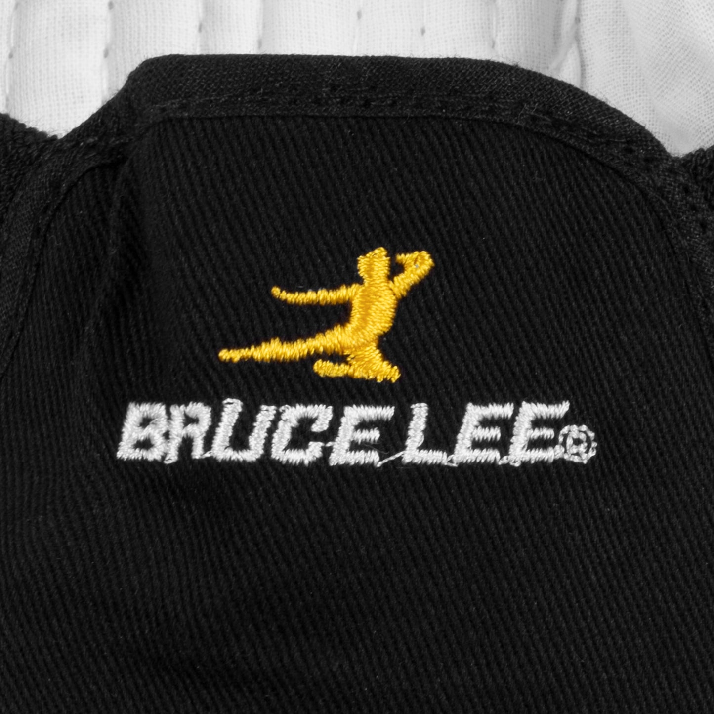 Kung Fu Shoe