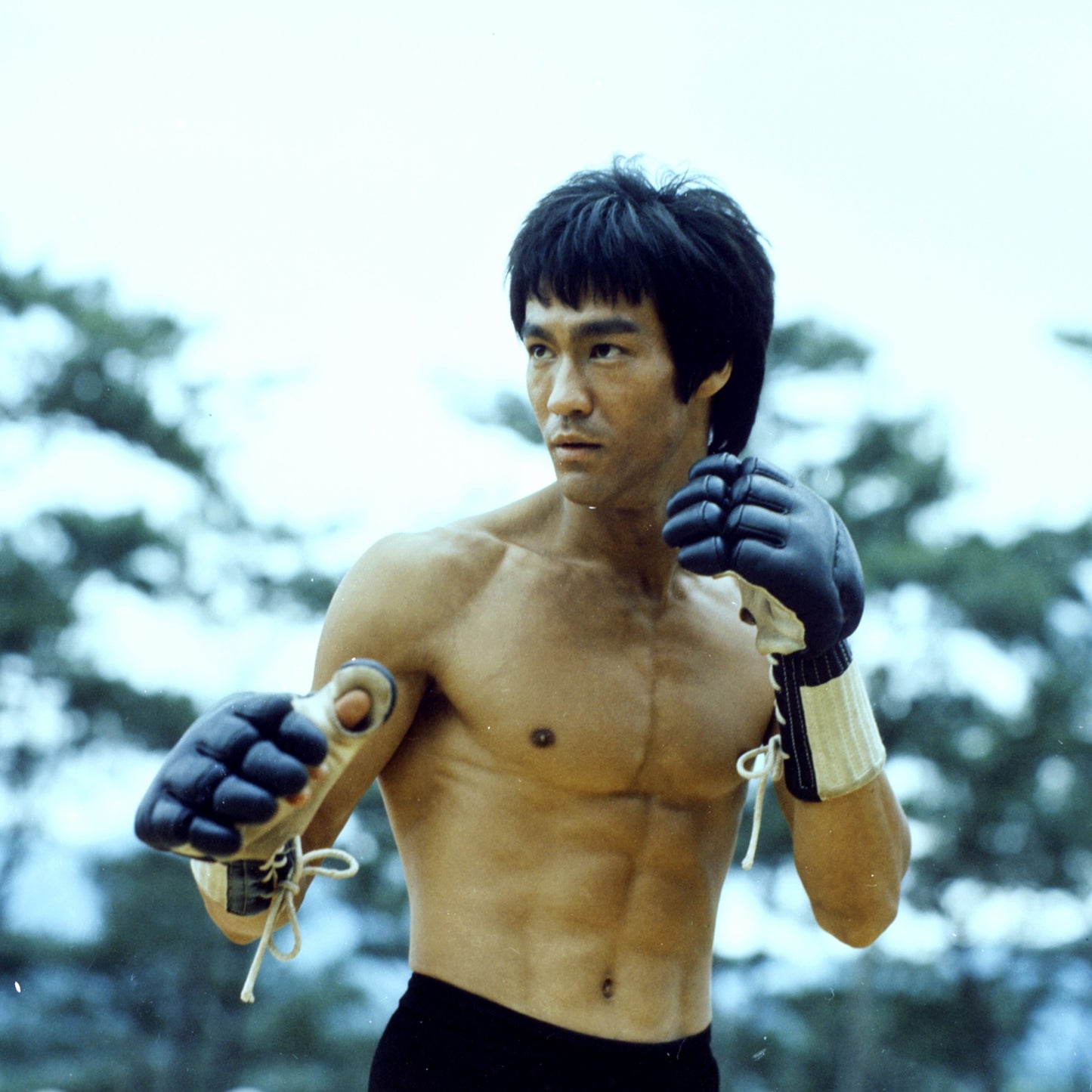 Bruce Lee JKD Glove