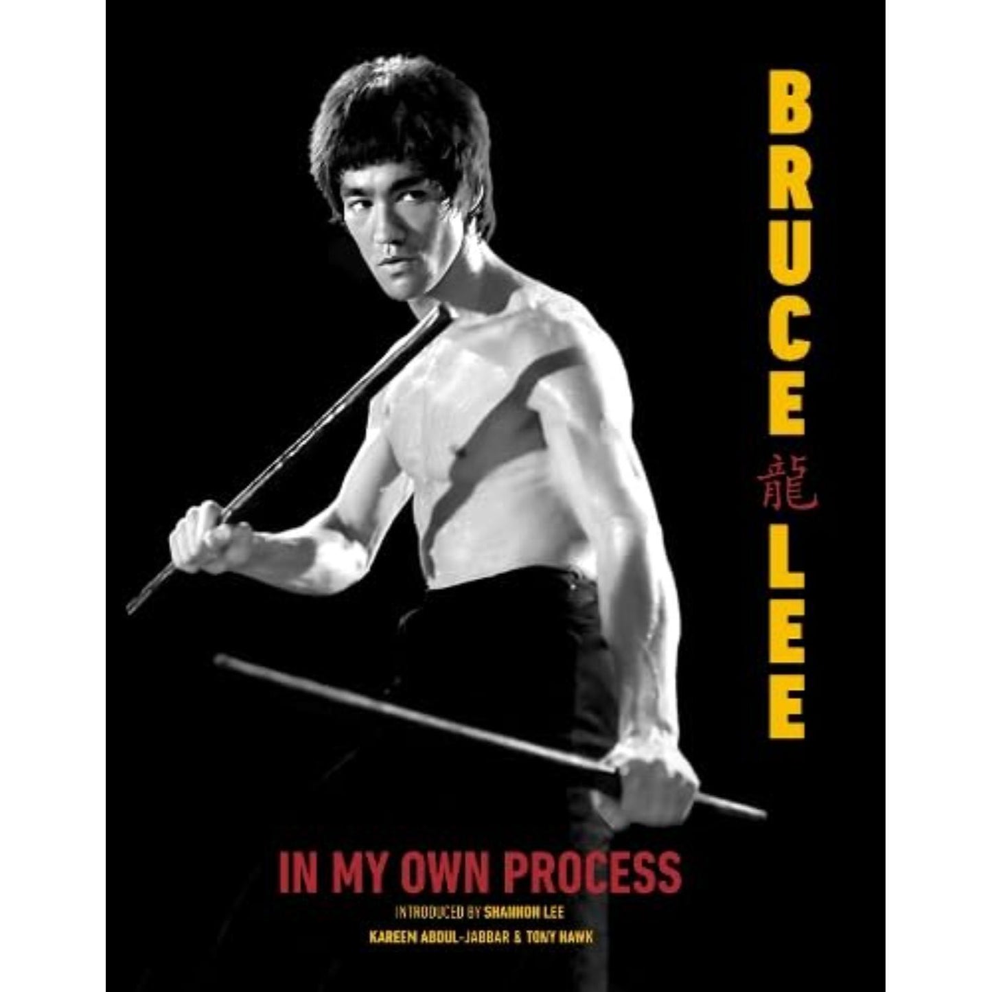 In My Own Process Hardcover Book