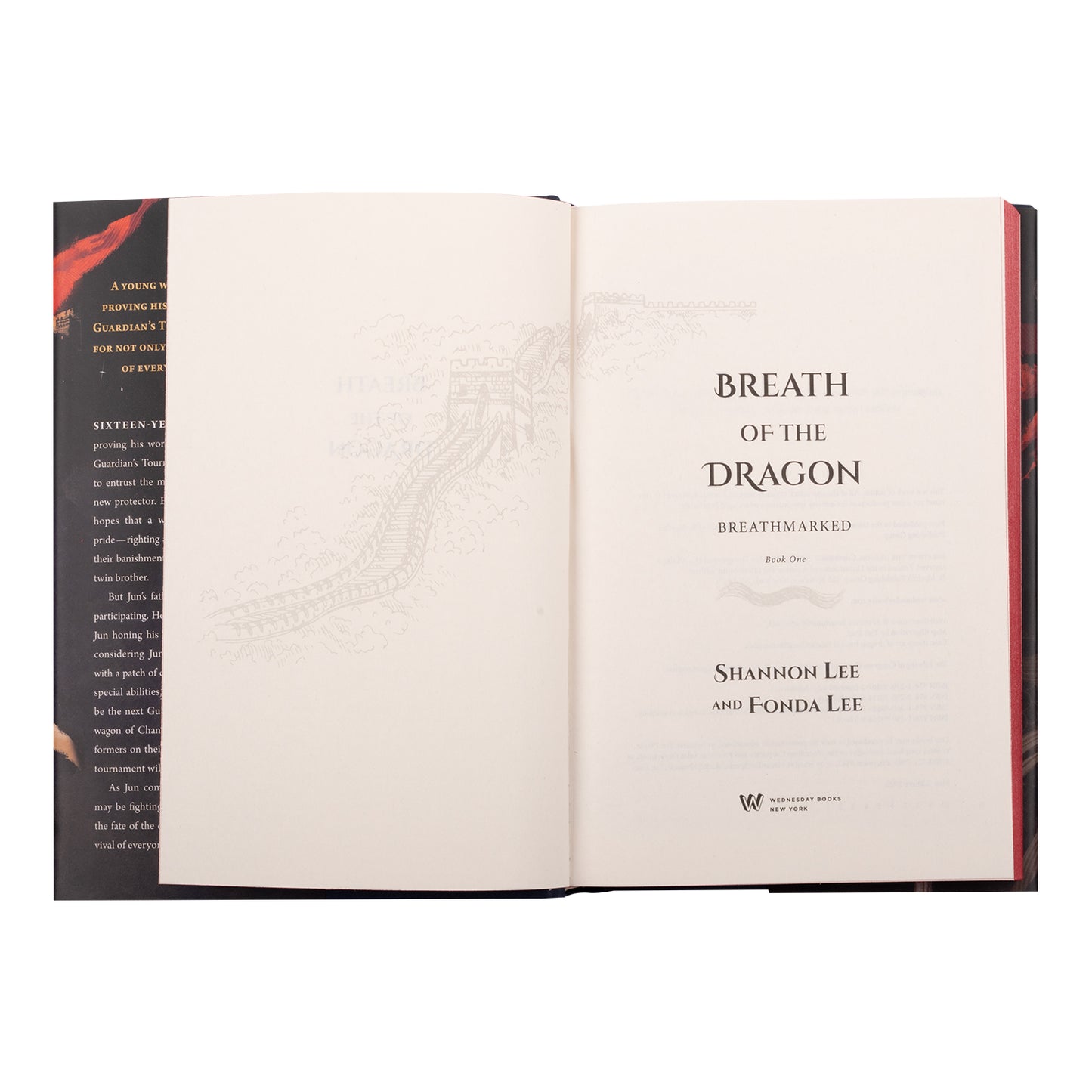 Breath of the Dragon: Breathmarked (Volume 1) Hardcover Book by Shannon Lee and Fonda Lee