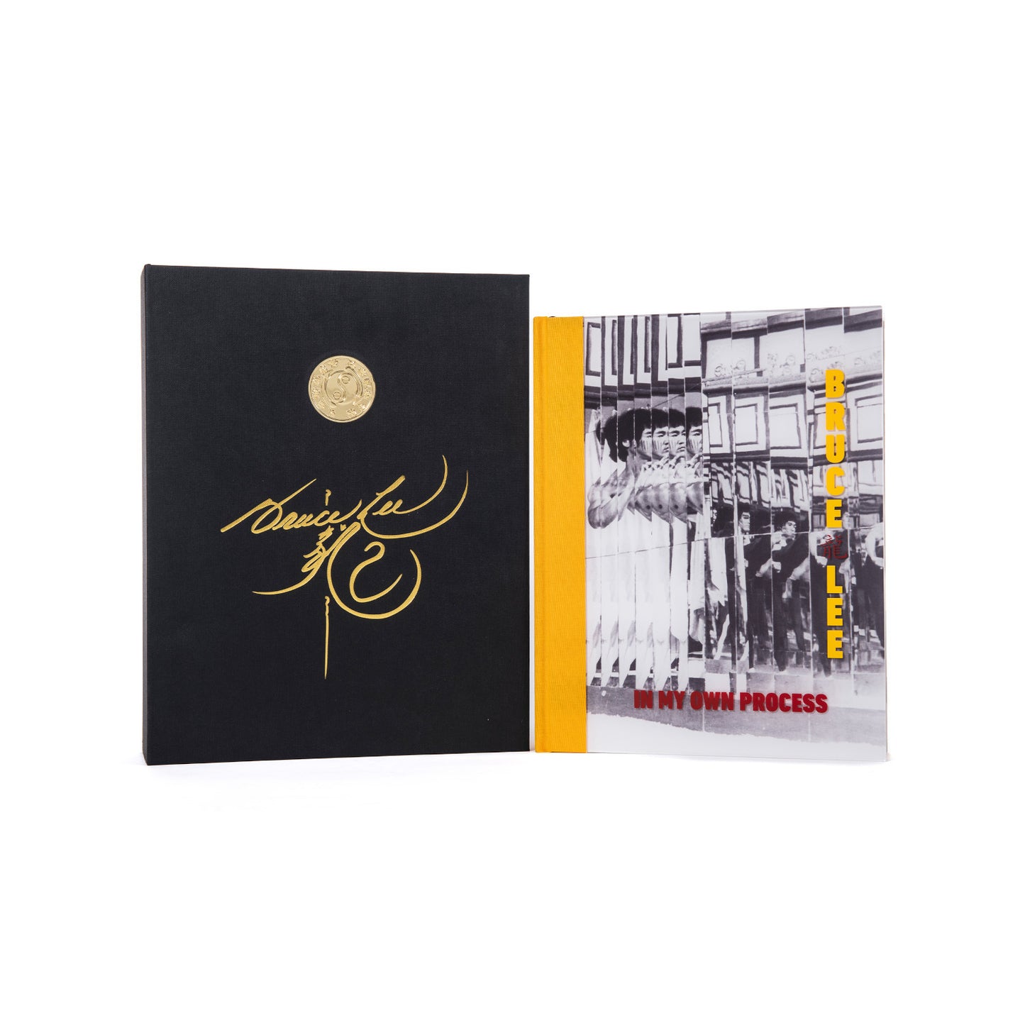 COLLECTOR COPIES: In My Own Process SIGNED Book