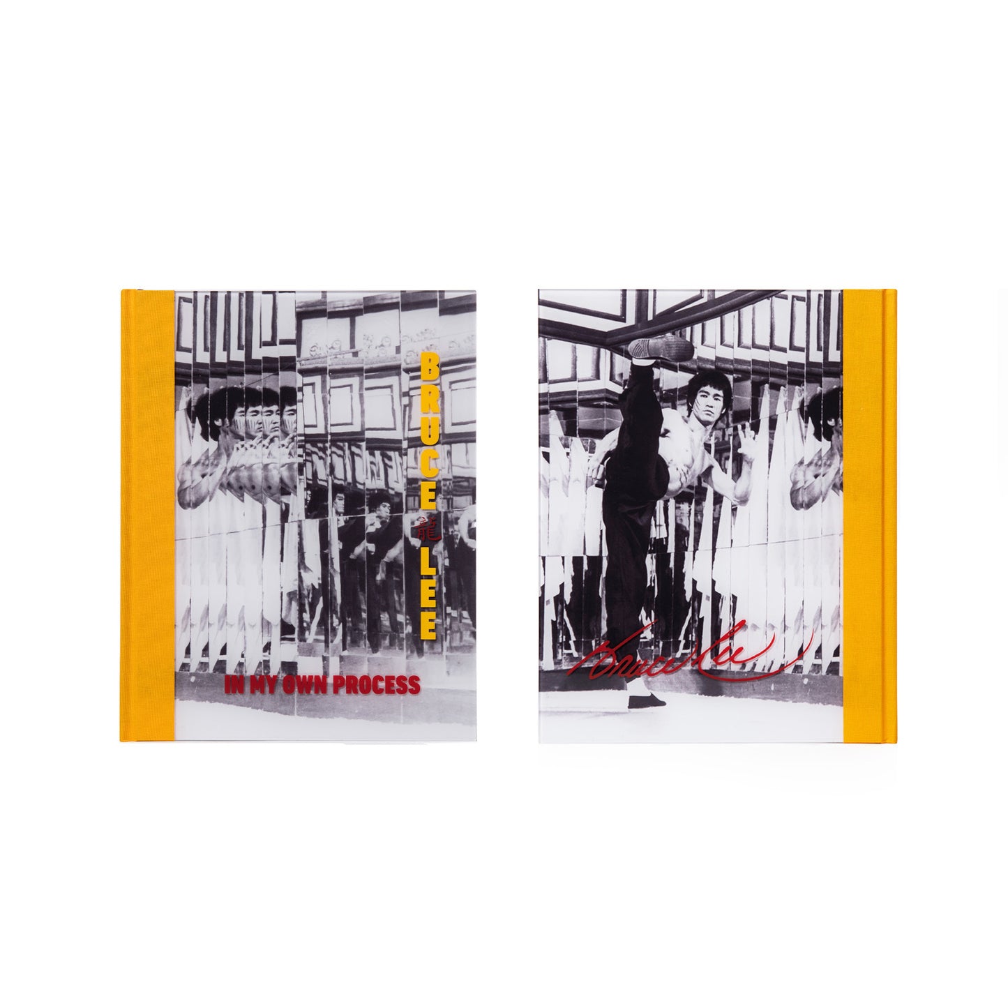 COLLECTOR COPIES: In My Own Process SIGNED Book