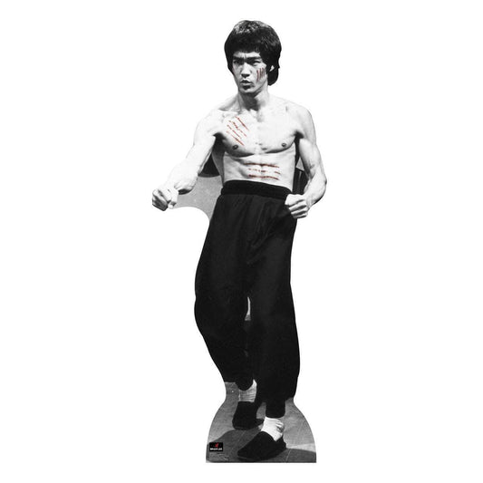Warrior Lifesize Standup