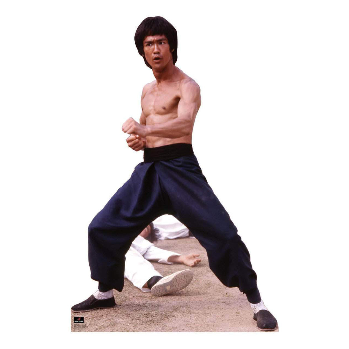 Fighting Stance Lifesize Standup