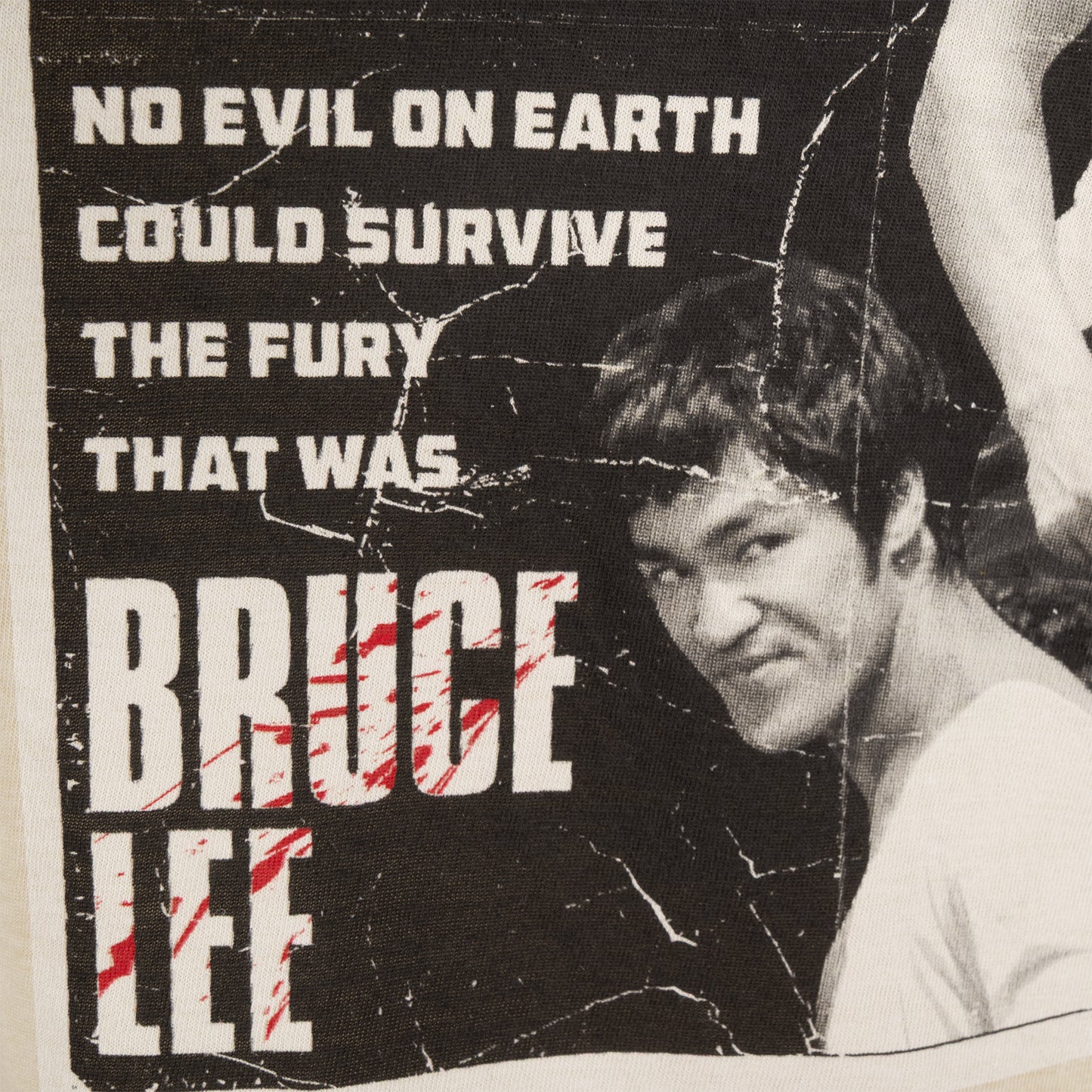 Nothing Can Stop Bruce Lee T-Shirt